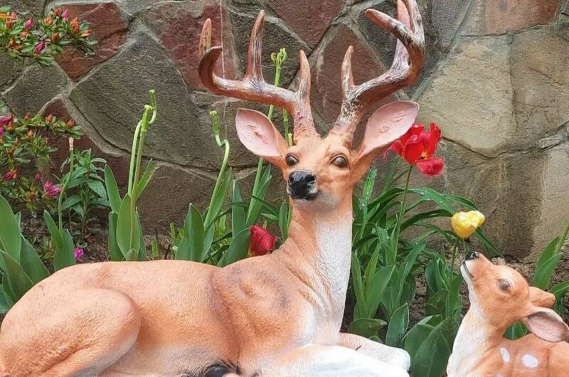 Изображение Изображение отеля / гостиницы "Гостевой дом «Аэлита»" #10 #8