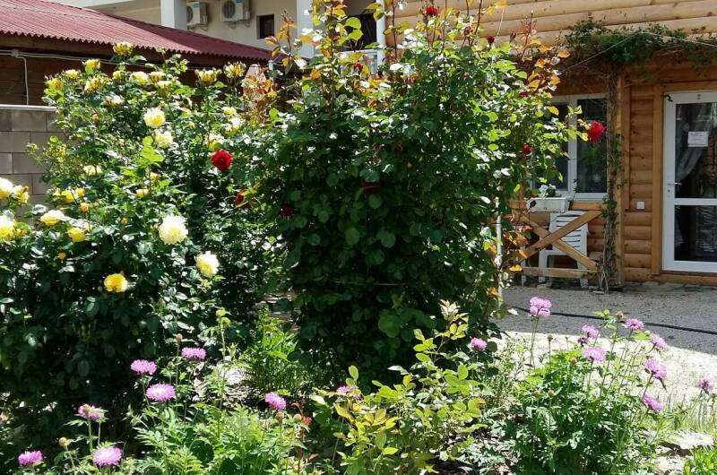 Изображение Изображение гостиницы "Частный сектор на Адмиральской" #4 #4