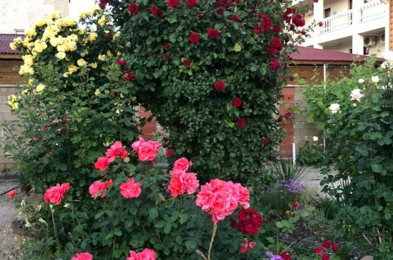 Изображение Изображение гостиницы "Частный сектор на Адмиральской" #7 #7