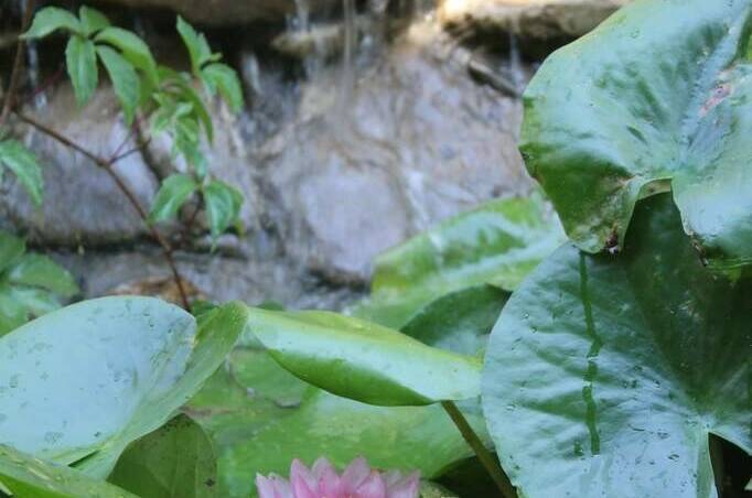 Изображение Изображение гостиницы "Жилые мебелированные комнаты на улице Садовая 1А" #8 #8