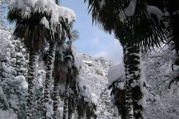 Изображение Изображение гостиницы "Отель «Hotel-club Poseidon»" #6 #6