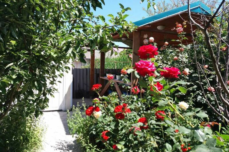 Изображение Изображение гостиницы &quot;Гостевой дом «Цоев Ковчег»&quot; #5 #5