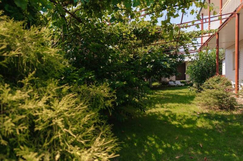 Изображение Изображение гостиницы &quot;Коттеджи на Бехтерева 22&quot; #3 #3