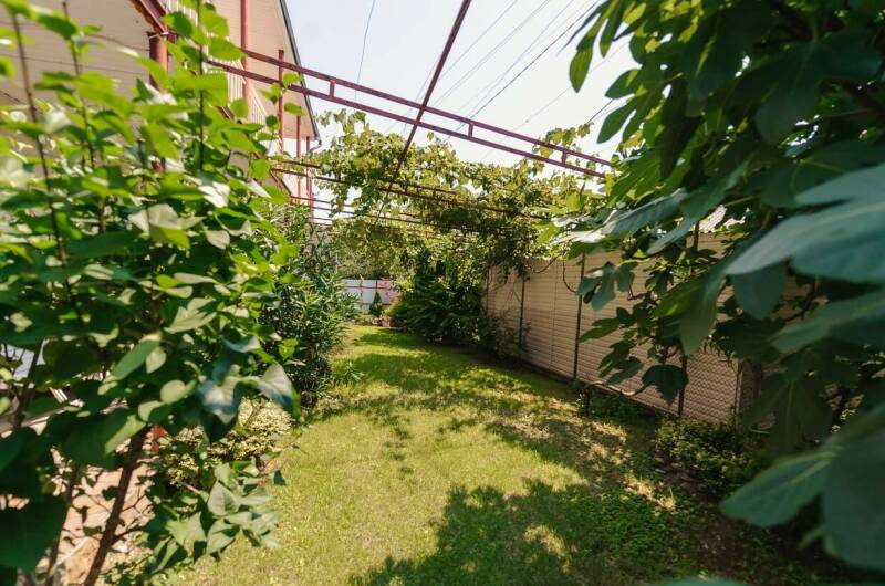 Изображение Изображение гостиницы &quot;Коттеджи на Бехтерева 22&quot; #4 #4