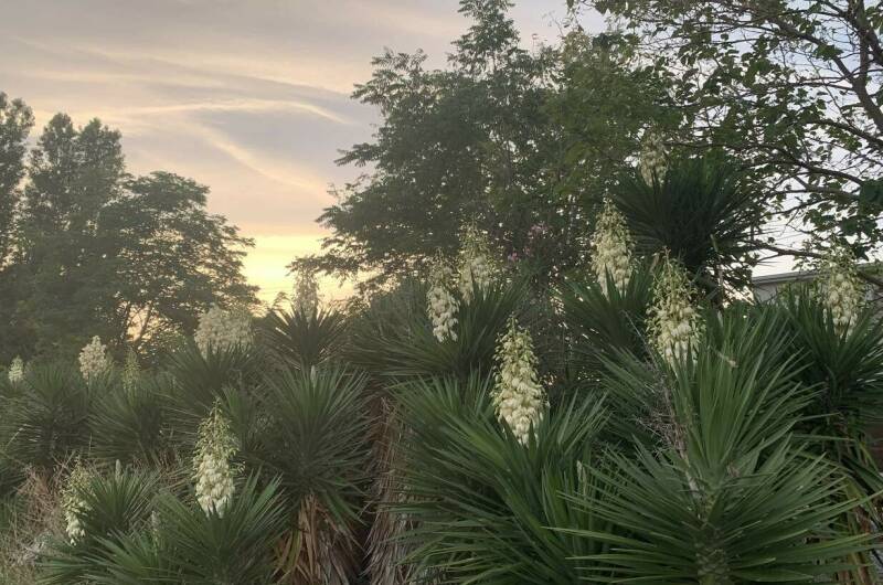 Изображение Изображение гостиницы "Частный дом «Елена» 25 метров до моря" #5 #5