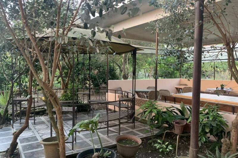 Изображение Изображение гостиницы "Частный дом «Елена» 25 метров до моря" #8 #8