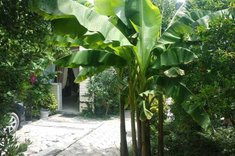 Изображение Изображение гостиницы &quot;Гостевой дом «Ростовский дворик»&quot; #4 #4