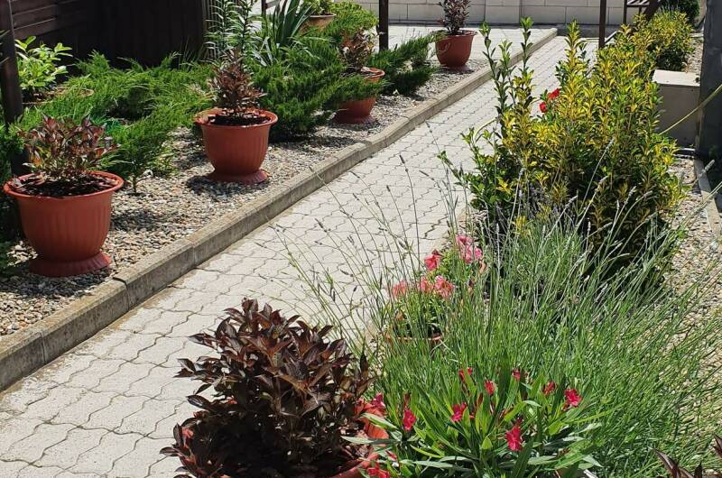 Изображение Изображение гостиницы "Частный сектор на Островского" #5 #5