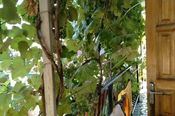 Изображение Изображение гостиницы "Гостевой дом на Киевской" #1 #1