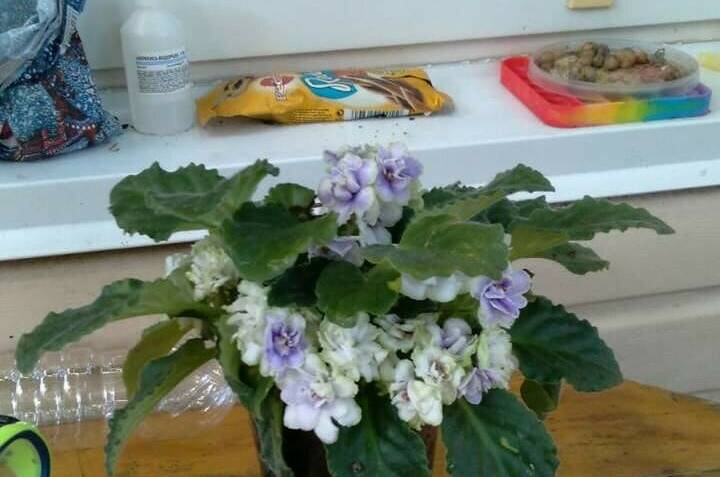 Изображение Изображение гостиницы "Гостевой дом на Киевской" #4 #4