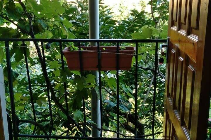 Изображение Изображение отеля / гостиницы "Гостевой дом на Киевской" #11 #9