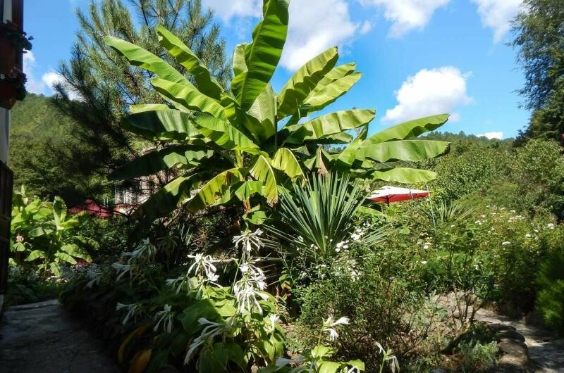 Изображение Изображение гостиницы &quot;Гостевой дом «Лесная Поляна»&quot; #7 #7