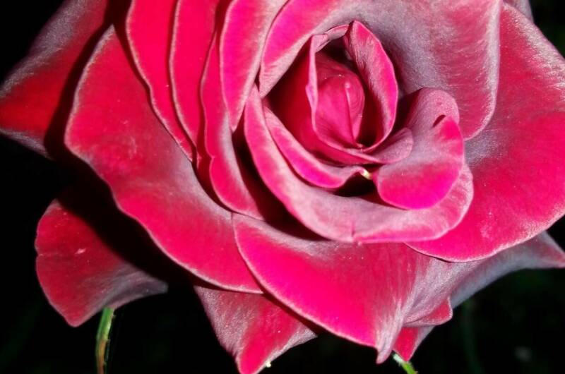 Изображение Изображение гостиницы "Гостевая усадьба «Александр»" #3 #3