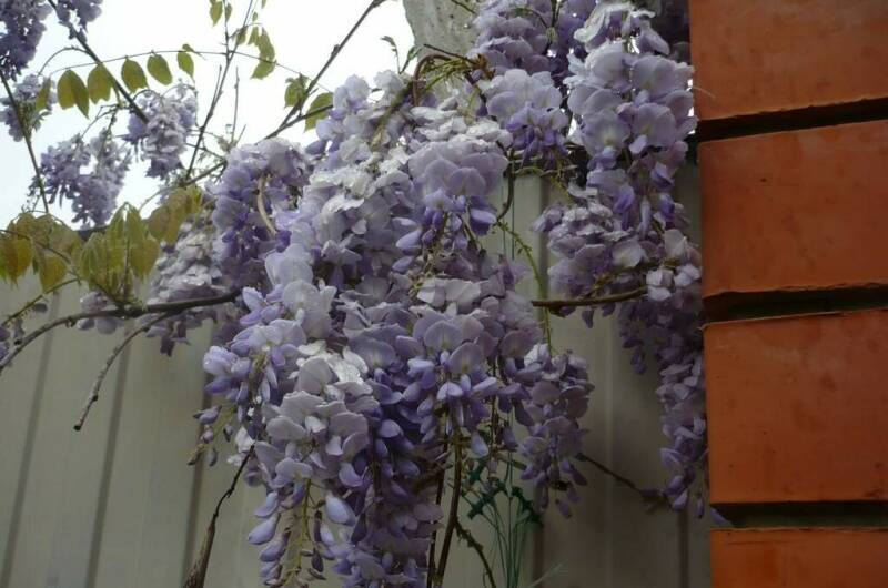 Изображение Изображение гостиницы "Гостевая усадьба «Александр»" #5 #5