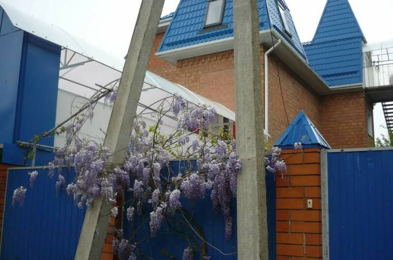 Изображение Изображение отеля / гостиницы "Гостевая усадьба «Александр»" #10 #8