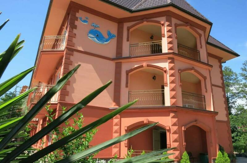 Изображение Изображение гостиницы "Гостевой дом «Добрый Кит»" #1 #1