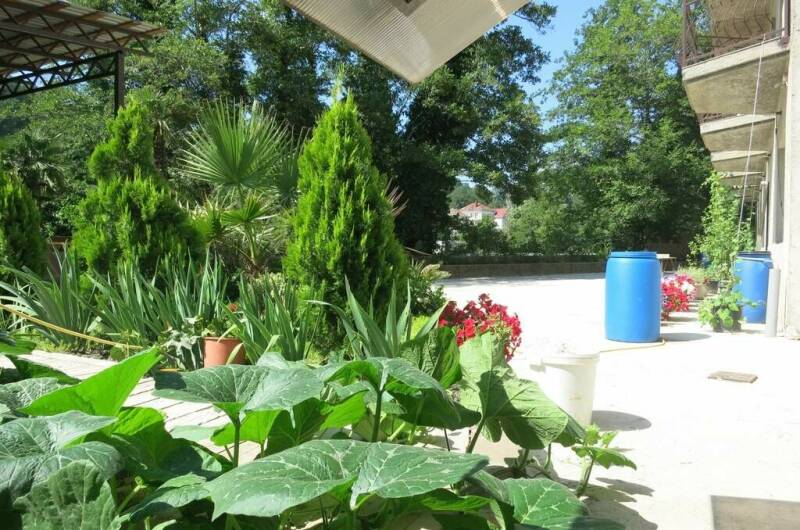 Изображение Изображение отеля / гостиницы "Гостевой дом «Добрый Кит»" #11 #9