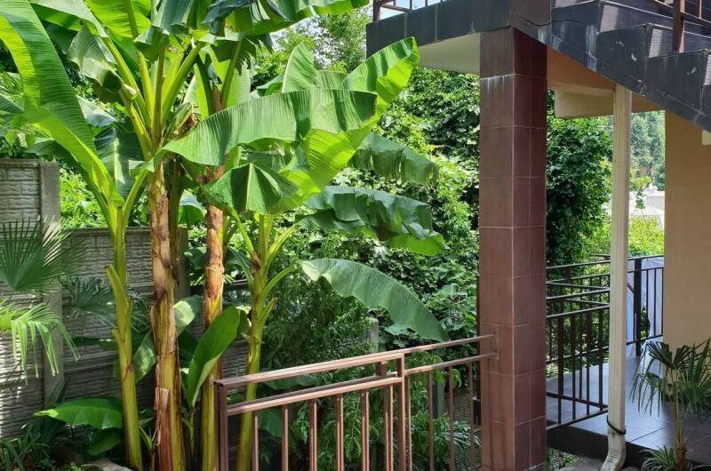 Изображение Изображение гостиницы &quot;Гостевой дом «У Кота»&quot; #6 #6