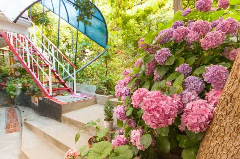 Изображение Изображение гостиницы &quot;Гостевой дом «Лилия»&quot; #1 #1