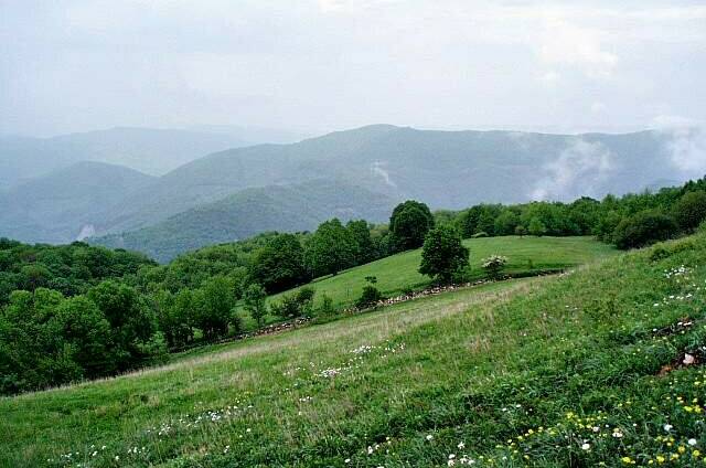 Изображение Изображение отеля / гостиницы "Гостевой дом «Лесной»" #11 #9