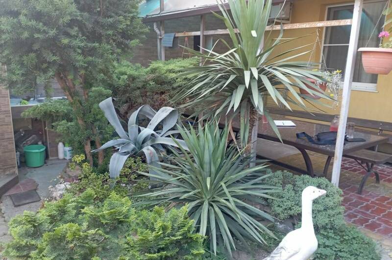 Изображение Изображение гостиницы &quot;Гостевой дом «Элати»&quot; #2 #2