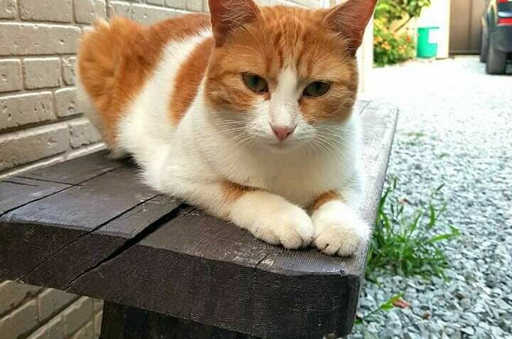 Изображение Изображение гостиницы "Частный дом на Радужной" #3 #3