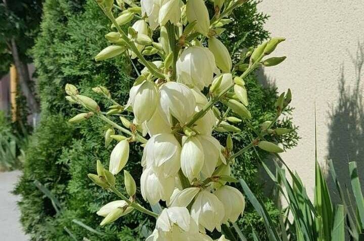 Изображение Изображение отеля / гостиницы "Частный дом на Радужной" #11 #9