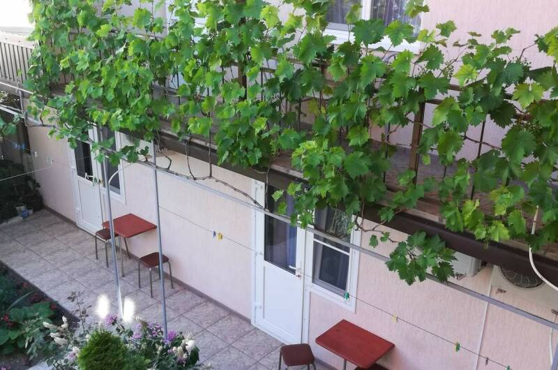 Изображение Изображение отеля / гостиницы "Гостевой дом «Как у всех»" #11 #9