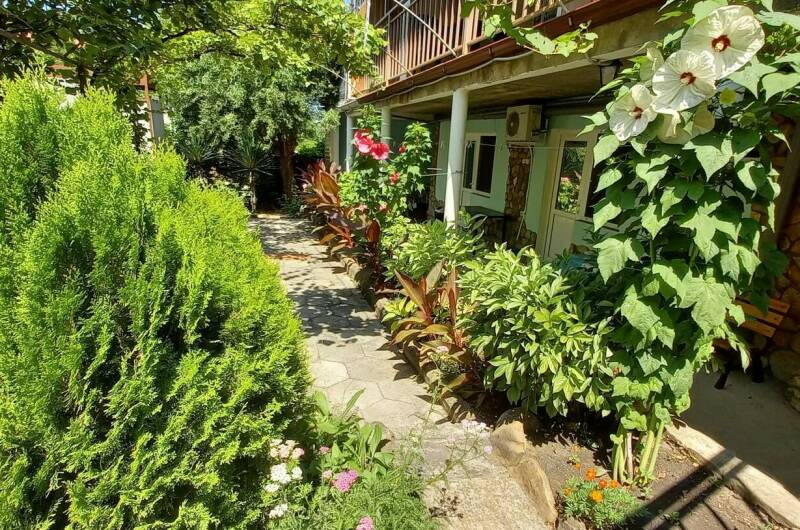 Изображение Изображение гостиницы "Гостевой дом «Клевер»" #4 #4