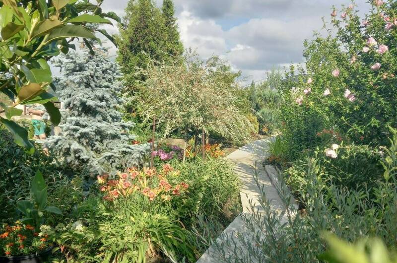 Изображение Изображение гостиницы "Гостевой дом «Клевер»" #5 #5