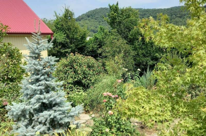 Изображение Изображение гостиницы "Гостевой дом «Клевер»" #7 #7