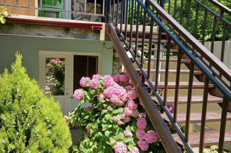 Изображение Изображение отеля / гостиницы "Гостевой дом «Клевер»" #11 #9