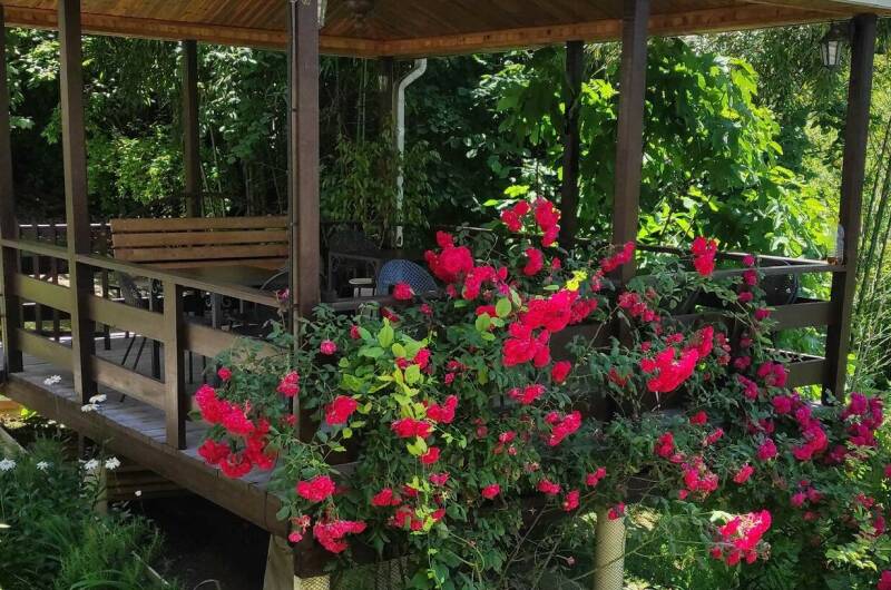 Изображение Изображение отеля / гостиницы "Гостевой дом «Анжелика»" #11 #9