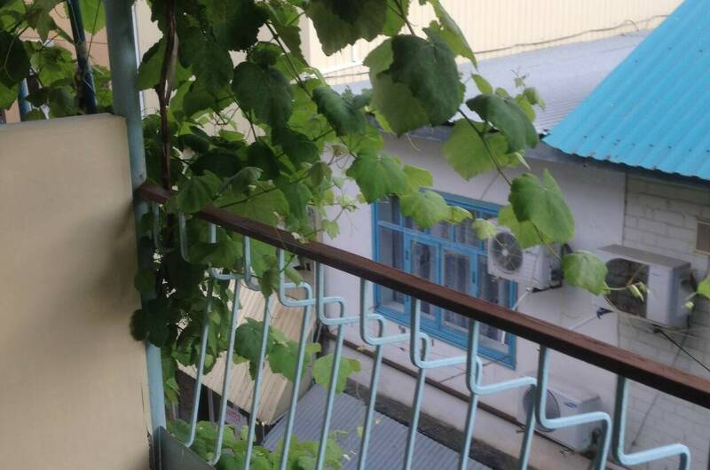 Изображение Изображение гостиницы "Гостевой дом «Ладья»" #6 #6