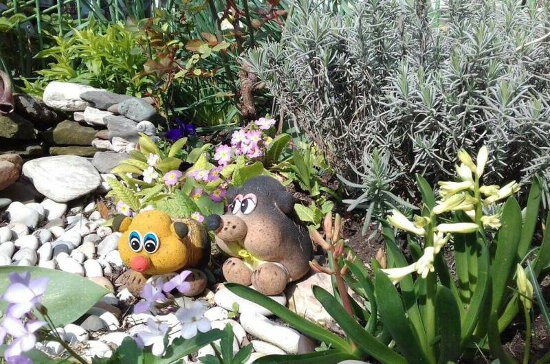 Изображение Изображение гостиницы "Частный сектор «АнВаЛиЯ»" #3 #3