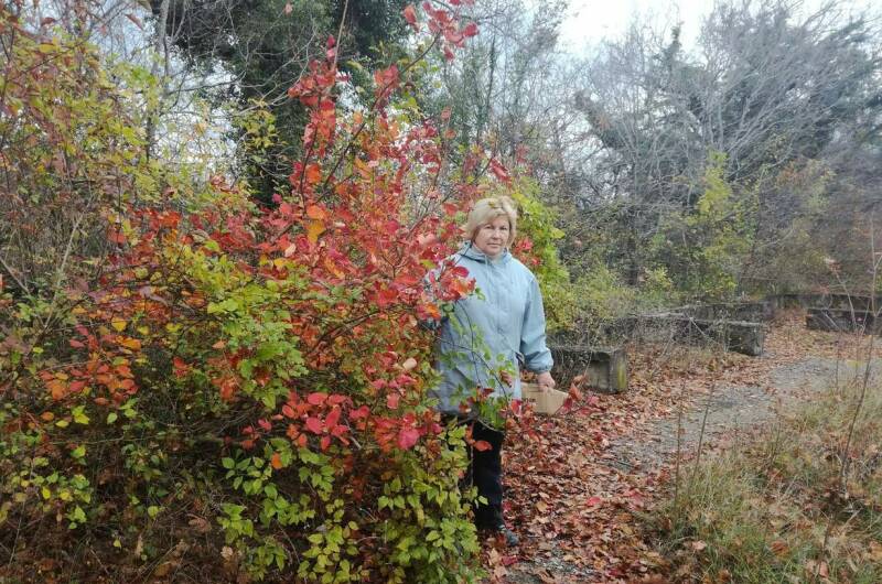 Изображение Изображение гостиницы "Частный сектор «АнВаЛиЯ»" #8 #8