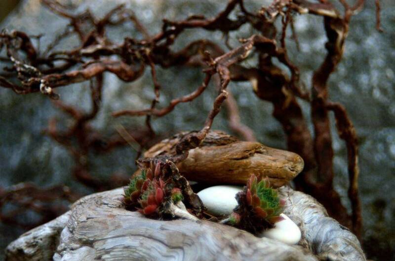 Изображение Изображение гостиницы &quot;Мини-отель «Вилла Агрия»&quot; #3 #3