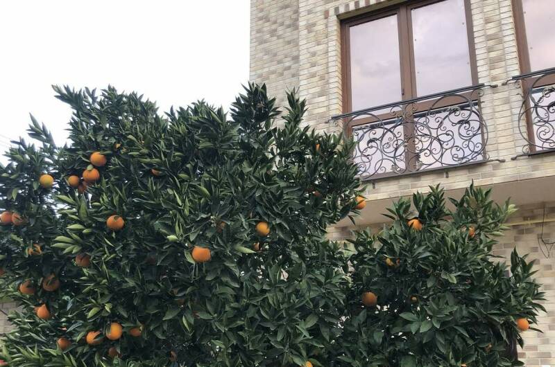 Изображение Изображение гостиницы "Гостевой дом «У Сережи»" #3 #3