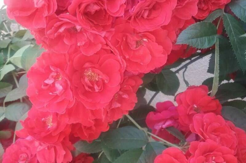 Изображение Изображение отеля / гостиницы "Частный дом «на Черноморской 4 В»" #10 #8