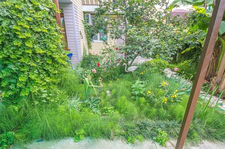 Изображение Изображение гостиницы "Гостевой дом «Волковых»" #3 #3