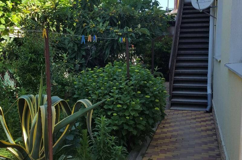 Изображение Изображение гостиницы "Гостевой дом «Агава»" #6 #6