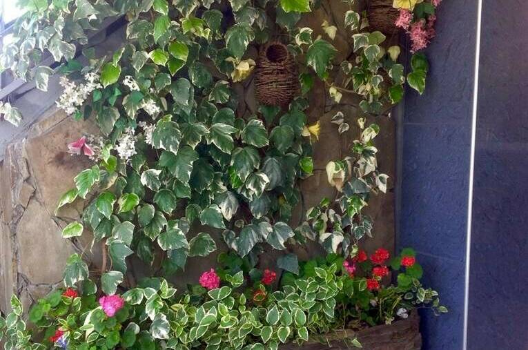 Изображение Изображение отеля / гостиницы "Гостевой дом «Наира»" #11 #9