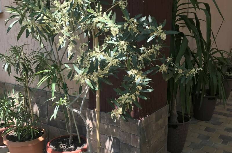 Изображение Изображение гостиницы "Гостевой дом «У Валентины»" #5 #5