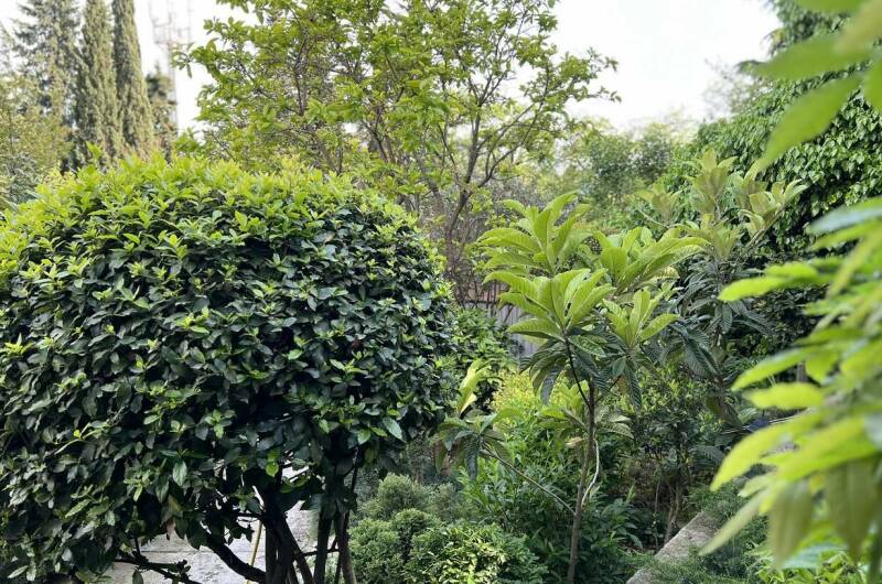 Изображение Изображение гостиницы &quot;Гостевой дом «Агеевъ»&quot; #3 #3