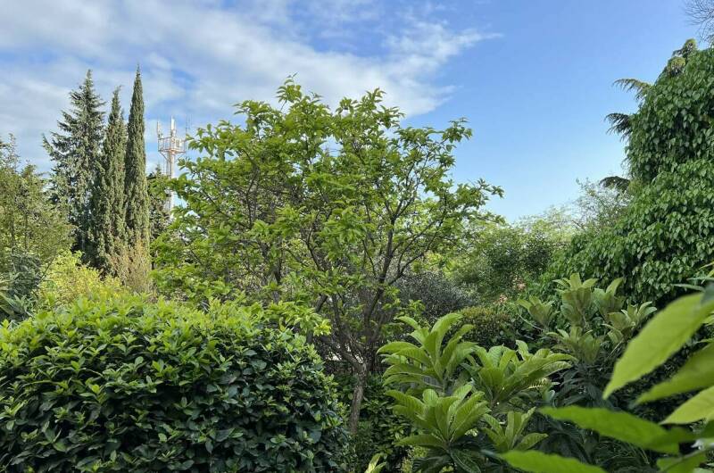 Изображение Изображение гостиницы &quot;Гостевой дом «Агеевъ»&quot; #8 #8