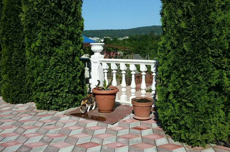 Изображение Изображение гостиницы &quot;Гостевой дом «Алена»&quot; #4 #4