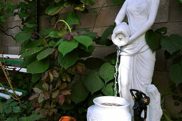 Изображение Изображение гостиницы &quot;Гостевой дом «Водолейчик»&quot; #4 #4