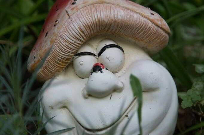 Изображение Изображение гостиницы &quot;Гостевой дом «Водолейчик»&quot; #5 #5