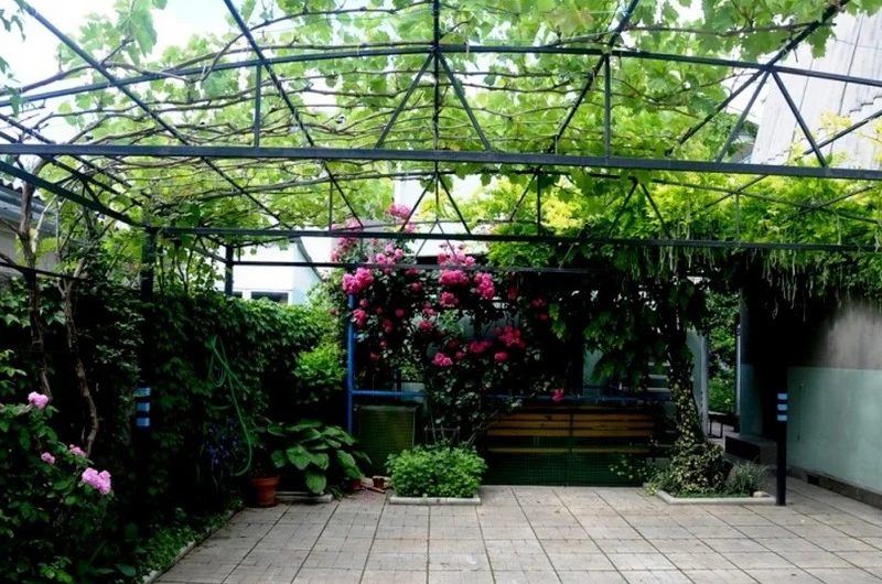 Изображение Изображение гостиницы &quot;Гостевой дом «Домик у моря»&quot; #2 #2