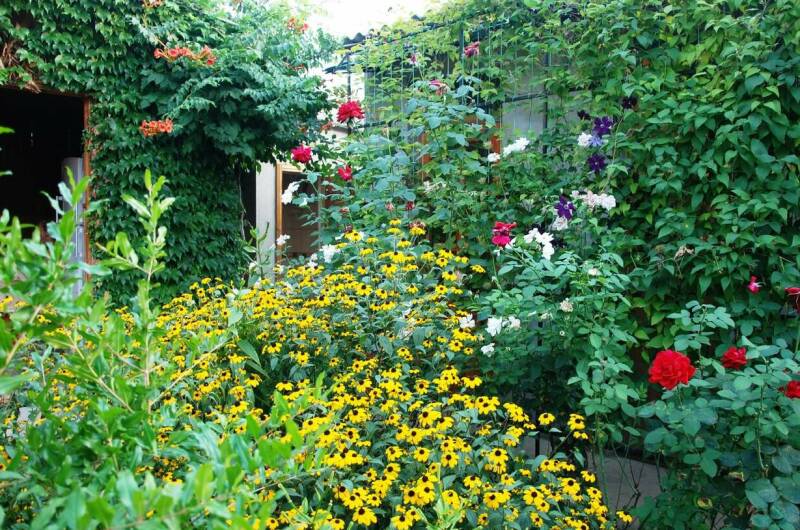 Изображение Изображение гостиницы &quot;Гостевой дом «Домик у моря»&quot; #8 #8